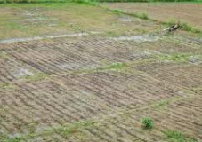 ट्रस्ट की जमीनों से 140 करोड़ की कमाई टैक्स 0 आयकर विभाग ने बनाया है केस स्टडी अन्य ड्राफ़्ट देखें...