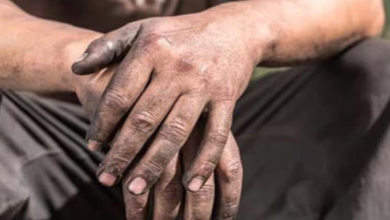 पत्नी ने फैमिली कोर्ट में दी तलाक की अर्जी